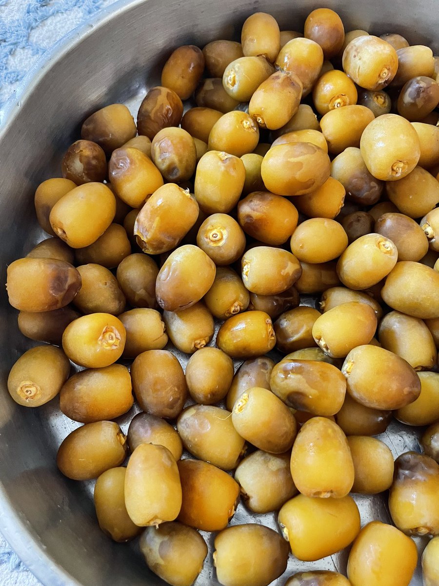 #مساء__الخير 
تصويري 🍂🐪