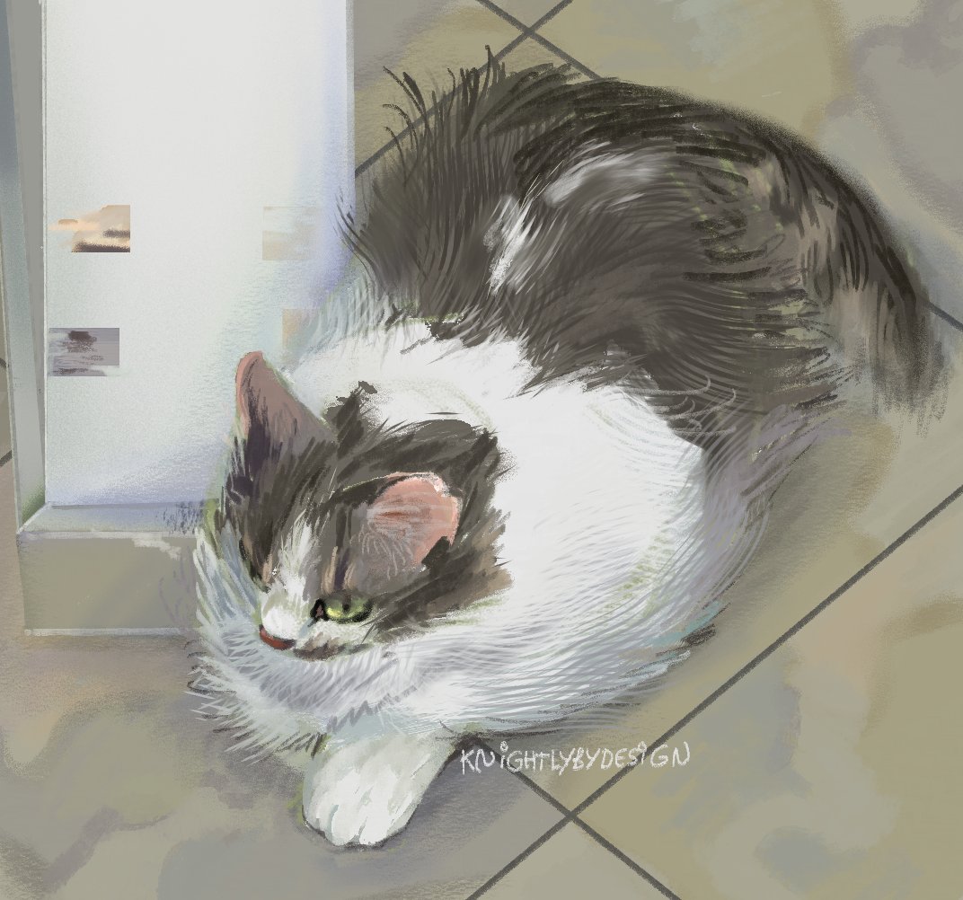 butterybydesign's tweet image. my cat #mycat