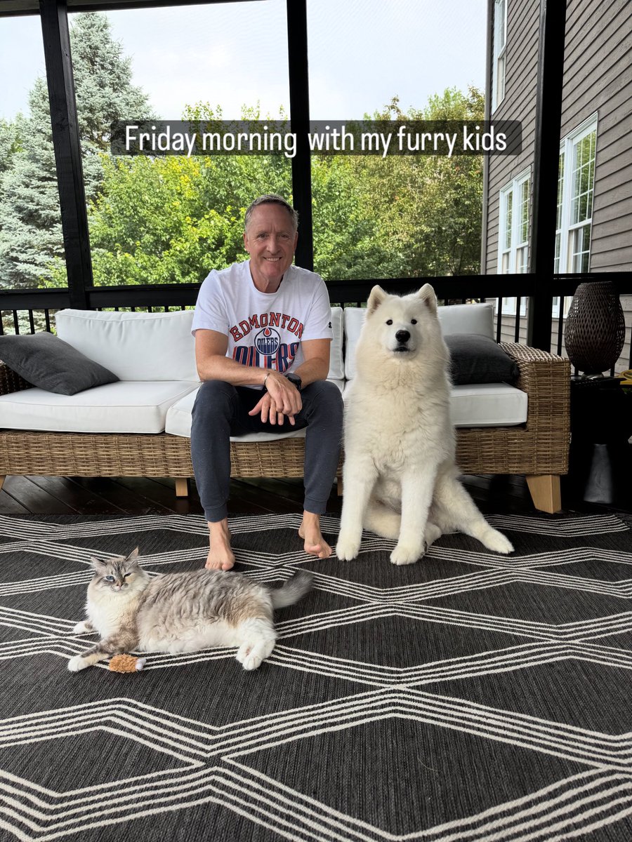 ian_leonard's tweet image. A lazy morning with Dolly and Baxter…