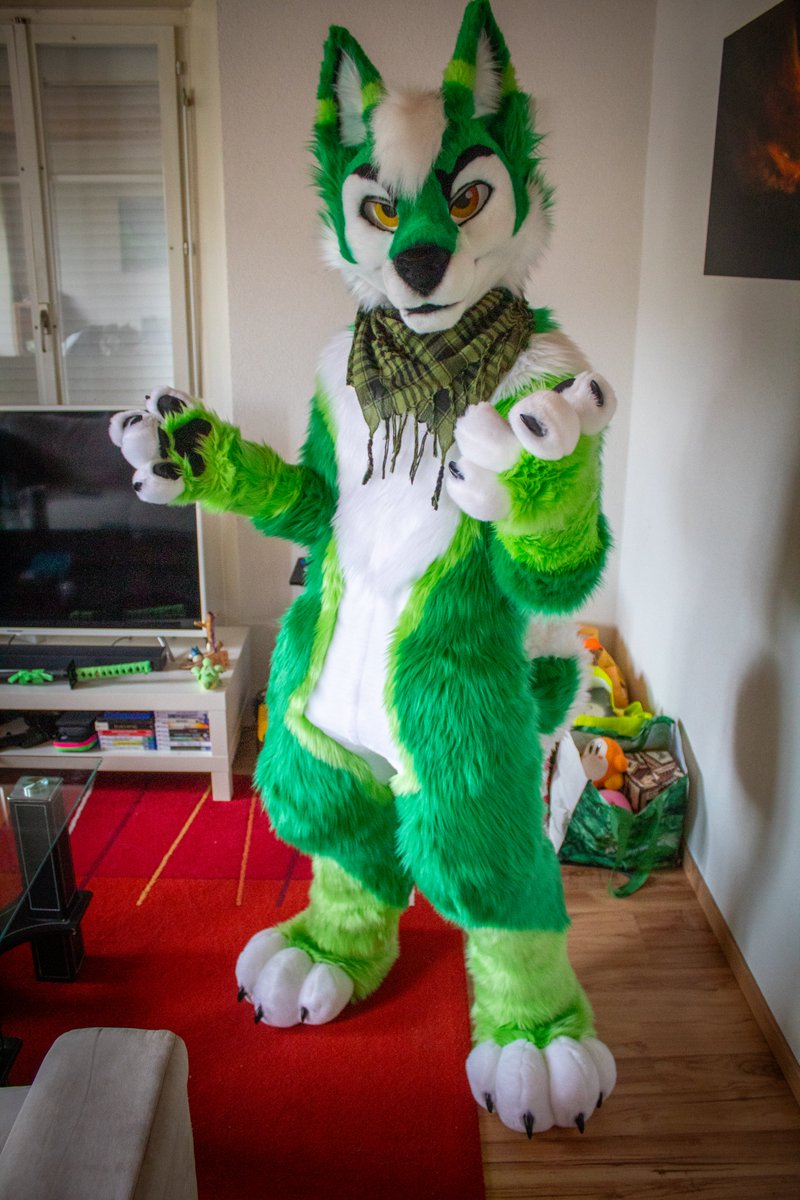 ColtArokaii's tweet image. Awoooo, have a great weekend 😁and remember to wag your tails 🤩
#FursuitFriday
📸 : @Kyliow_Rasuto my wolf 💚💚💚💚
🪡 : @MadeFurYou