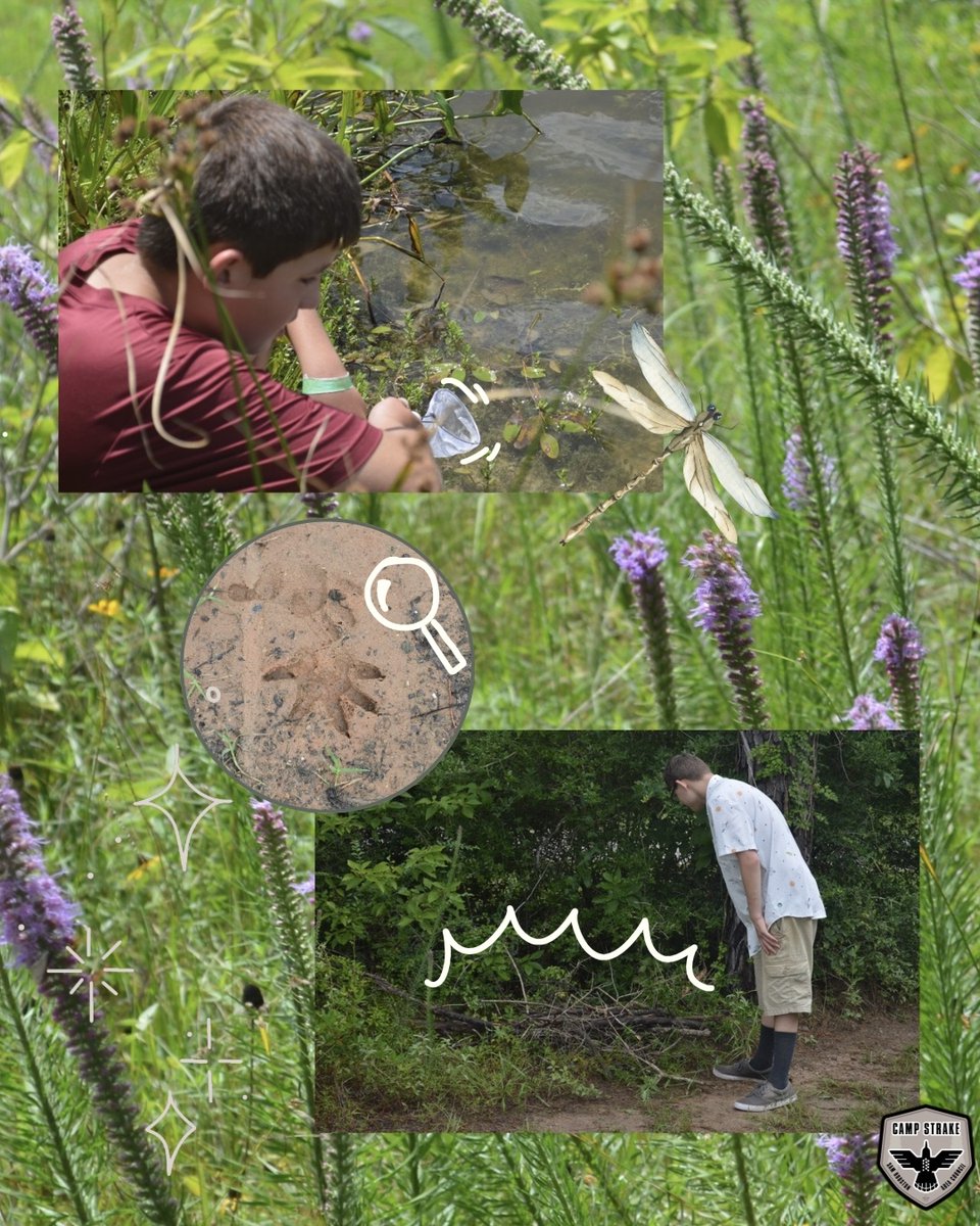 Camp Strake tweet media