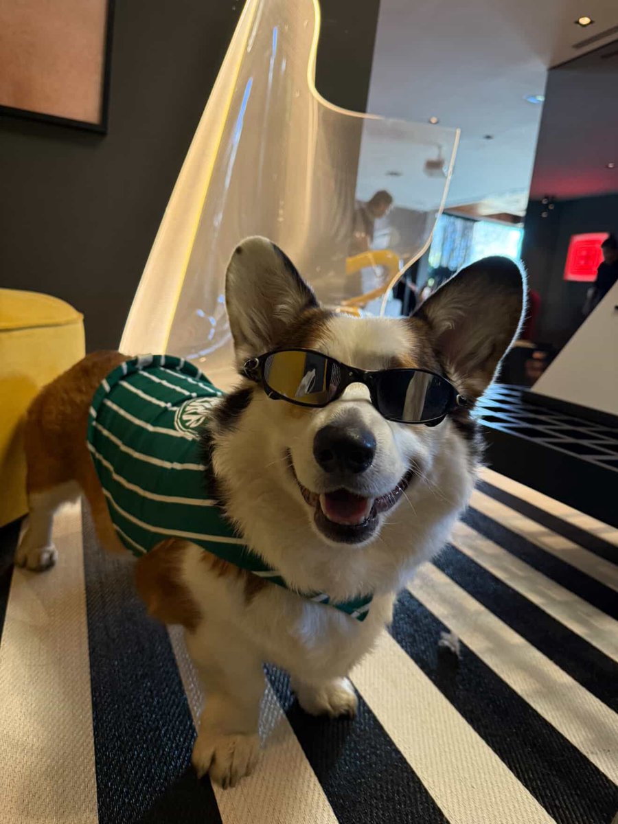 Sexta dia de maldade