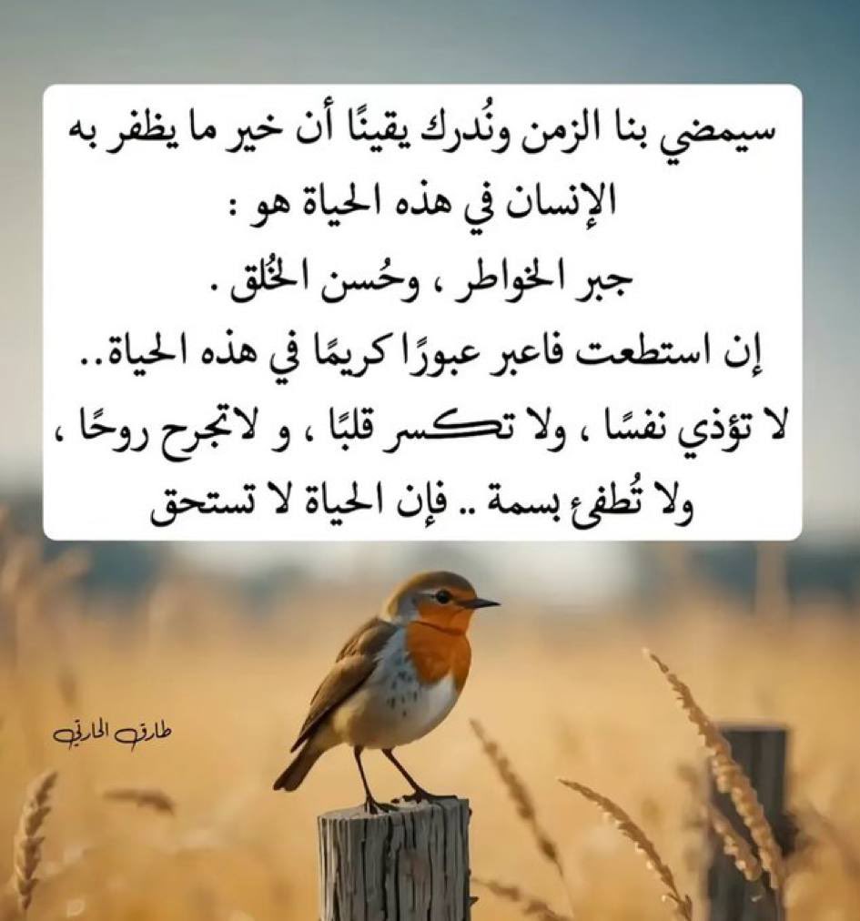 نمضى ولا ندرى اى قدر كتب لنا ، ليس بمقدورنا تغيير ما قسم لنا ... 

لان الاقدار ليست بأيدينا ، فالحمد لله على كل حال 

قد يفأجئك الله بشئ تحبه بوقت لا تتوقعه..!!

 وقد يمتحنك بشى محال 
فلا تيأس وثق ربما كان 
الافضل ان ترضى …

 #مساء_الخير_والسعادة