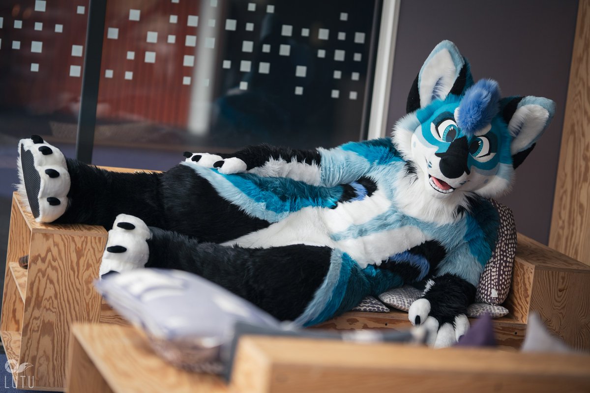🐾What a relaxing #FursuitFriday, put the paws up is always a great thing🐾

✂️    <a href="/Fionka_Fursuits/">🐈 Fionka Fursuits 🐈</a>
📷    <a href="/Lutufox/">Lutu 💙💛</a>