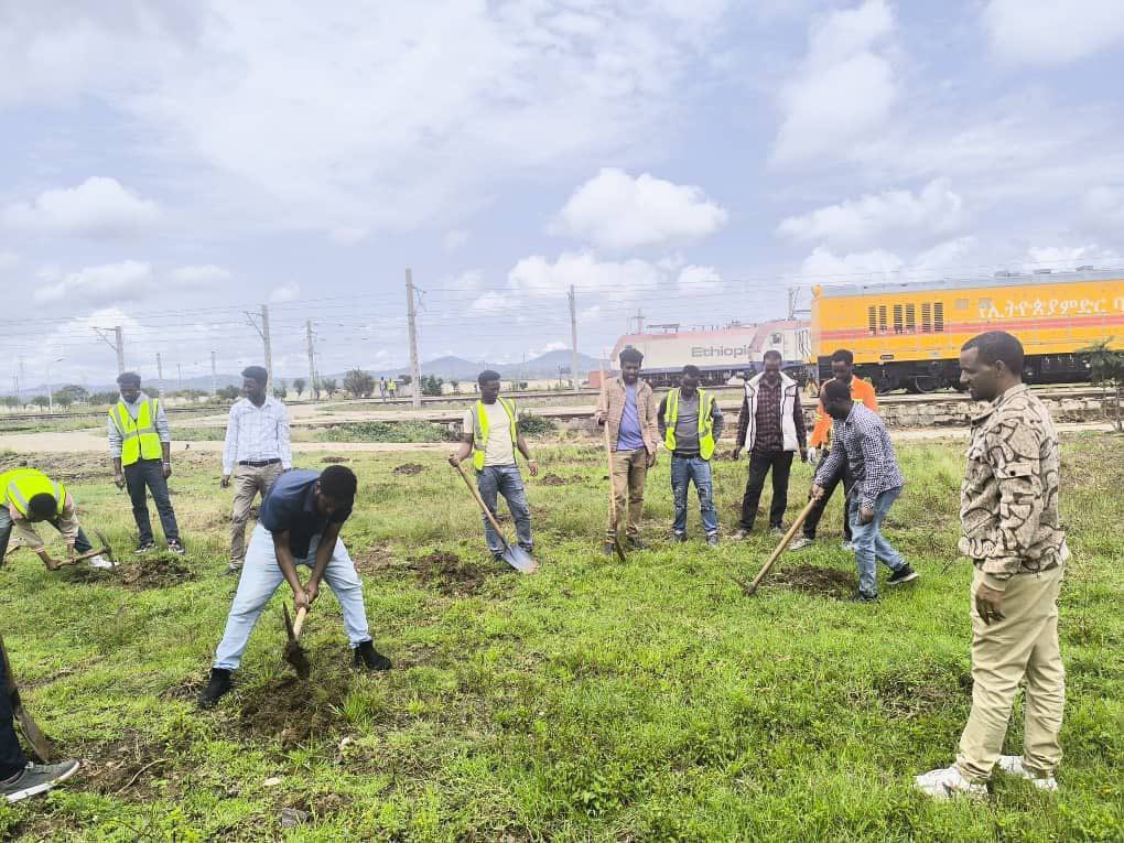 TakeleUma's tweet image. In preparation for tomorrow&apos;s tree-planting campaign, EDR staff have started loading plants.
-
Duula biqiltuuu dhaabuu boru akka dhaabbata daandii baaburaatti dhaabuuf, har’a biqiltuu iddoo dhaabnu hundaatti qindeessaa jirra.