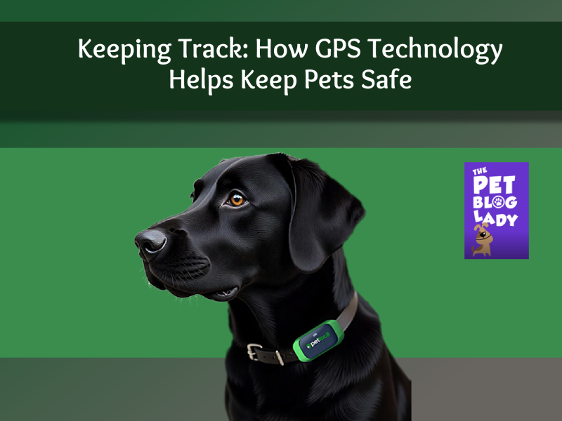 Keeping Track: How GPS Technology Helps Ke... petbloglady.com/2025/06/keepin…  #pets #GPS #tracking
