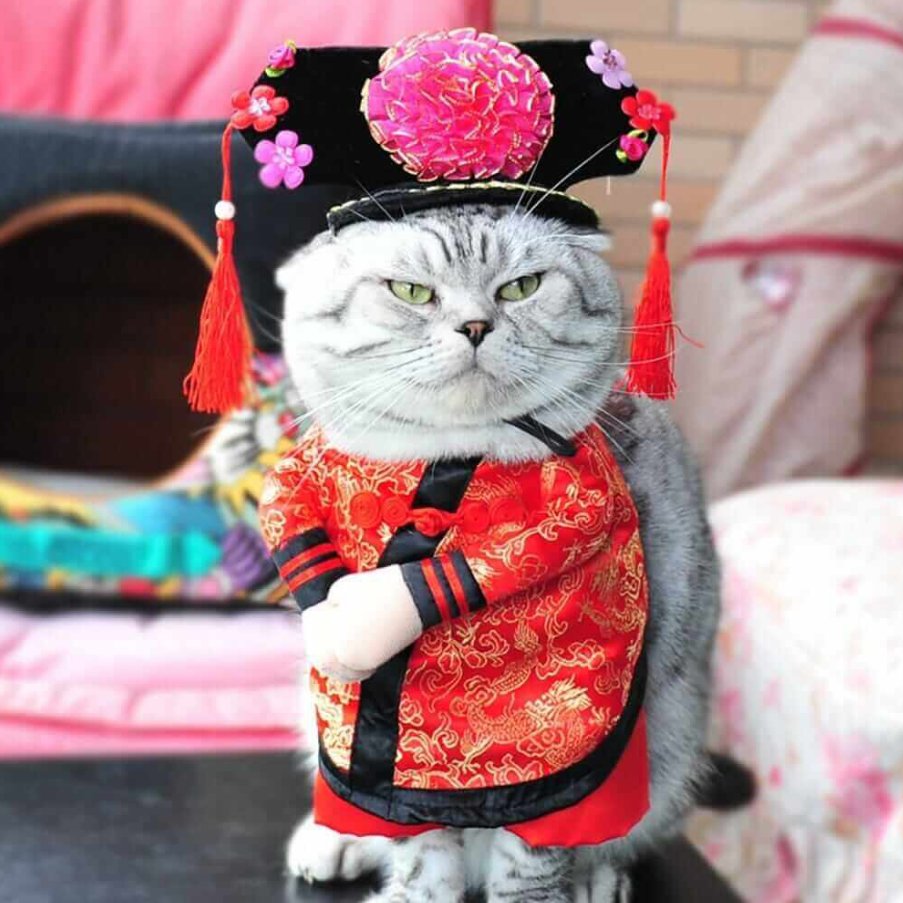 $NIHAO

we all still early

JEXM1fnPmgHCz6op6czXj2nw9iatKXFgejSdHs4wfun