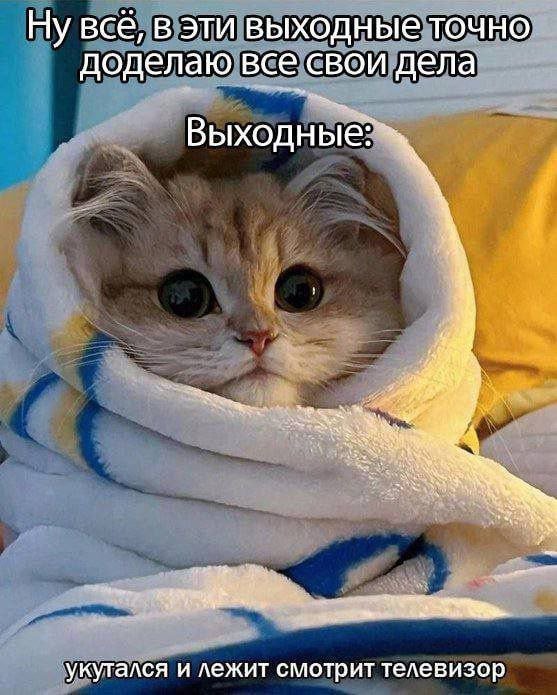 catsilcats's tweet photo. https://t.co/Ty4fNFemJZ