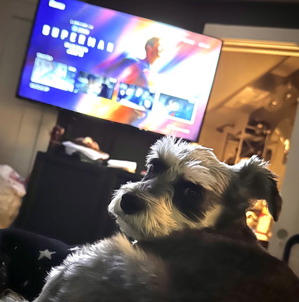 After watching #Superman I was even more excited to get back home to our pup. I’m all in on Krypto. I know she will be too. 

#SupermanMovie #Krypto