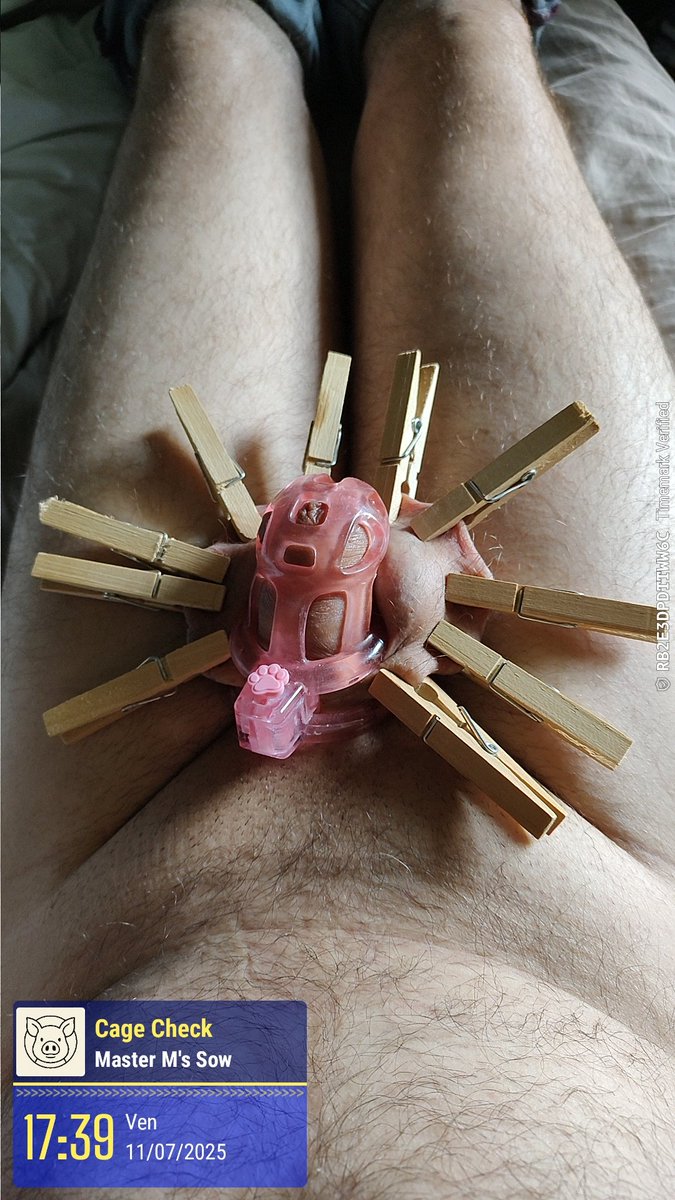 Meido (@manekimeido) on Twitter photo 