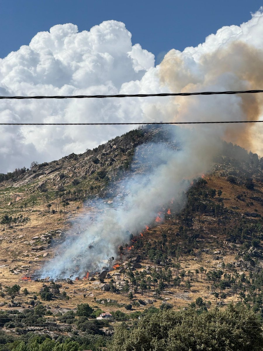 AT_Brif's tweet photo. 17:40📸#IFNavalmoralDeLaSierra #Ávila 

Este es el aspecto que presenta el incendio a la llegada del equipo @brifpuertopico.

Somos #BRIF de @mitecogob https://t.co/Vwt0eODZhw