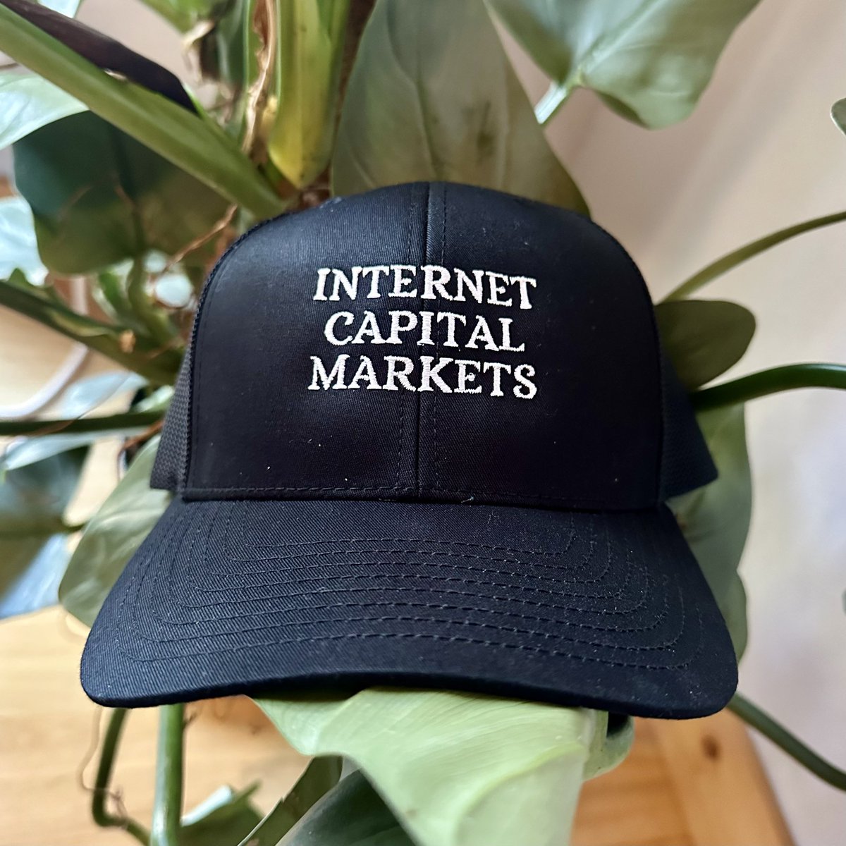 Internet capital markets.