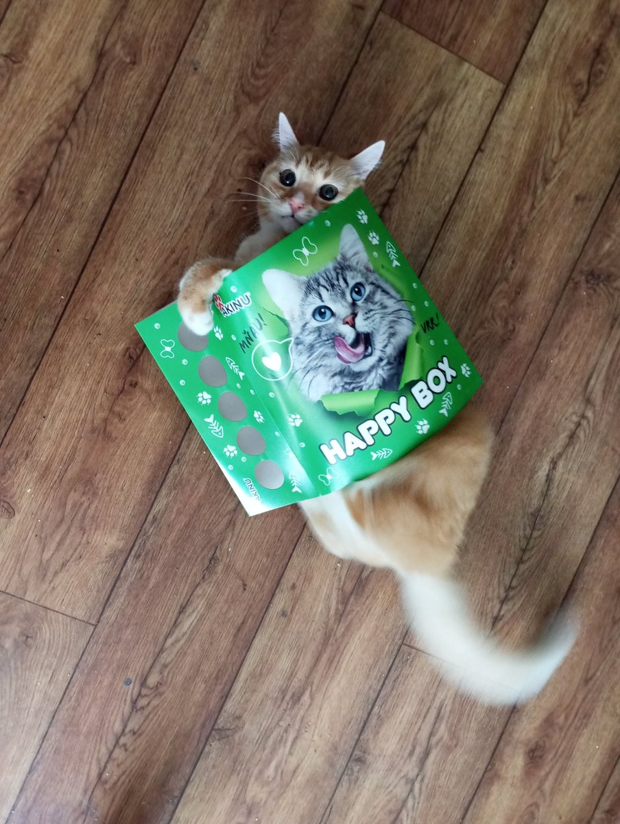 Pan Kečup tweet media