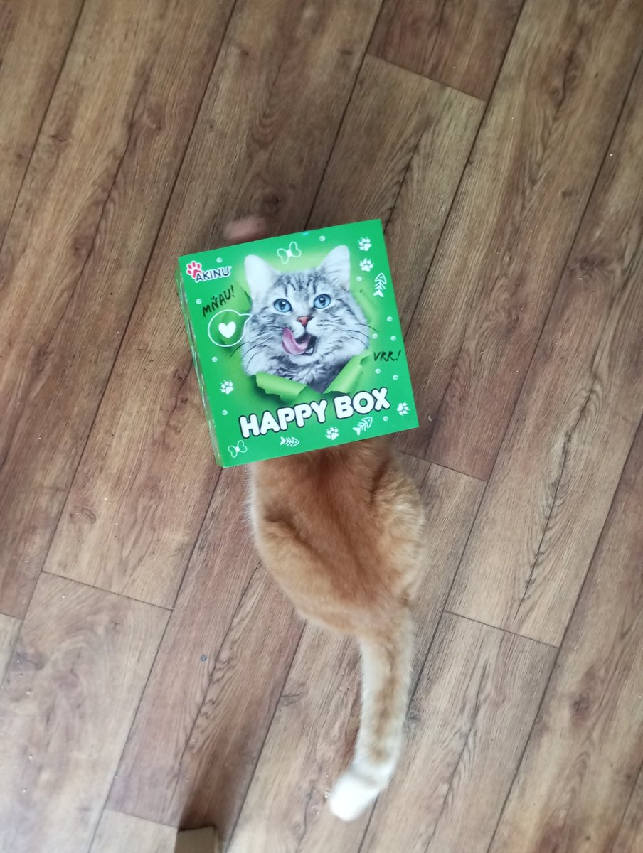 Pan Kečup tweet media