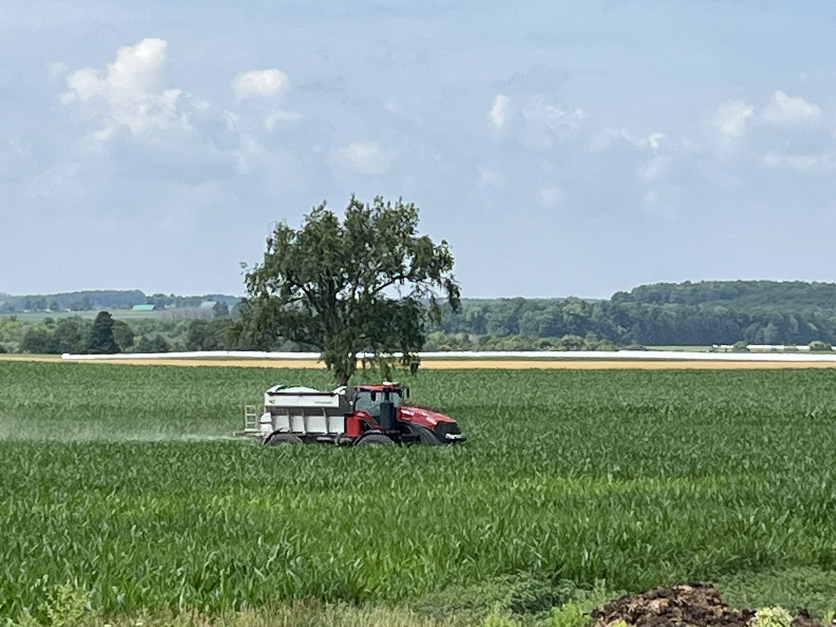 Feeding some corn with the new Trident  High Flow with NL720 spinner from New Leader