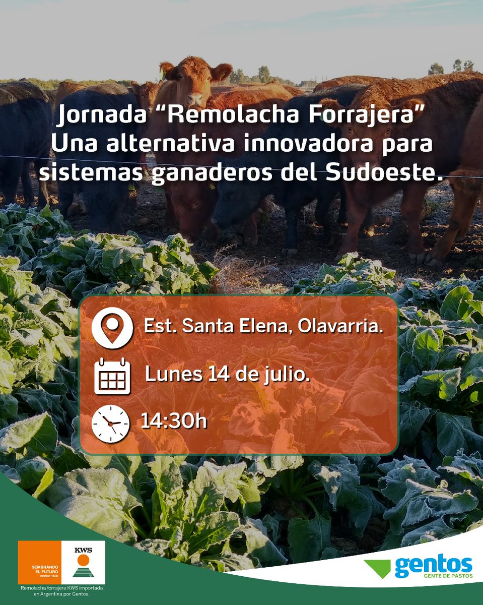 Ignacio Avila tweet media