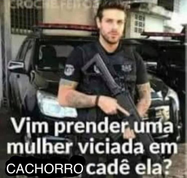 cachorrocore's tweet image. 