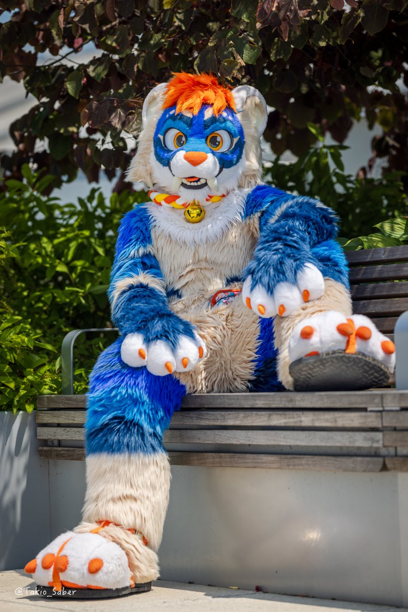 Takio_Saber's tweet image. Hope everyone had a great time at AC :3 Now time to move to the west coast :)
📷: @FlumeFusky (edited by me)
#anthrocon2025 #FursuitFriday