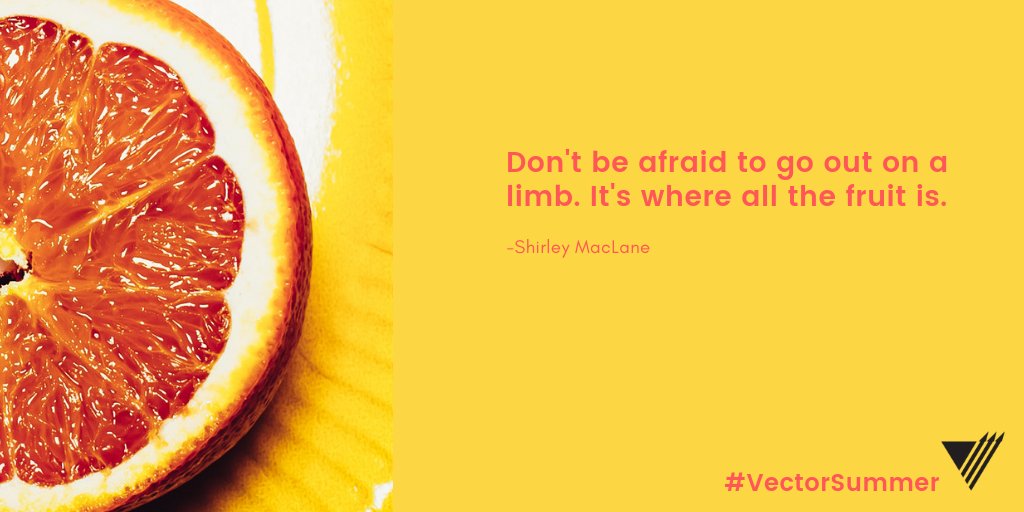 Vector Marketing tweet media