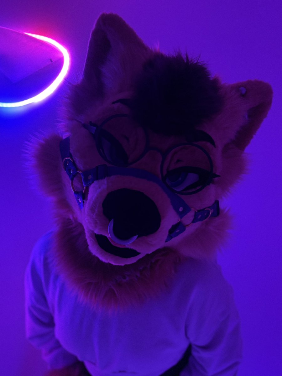 Muzzle 💜

#FursuitFriday