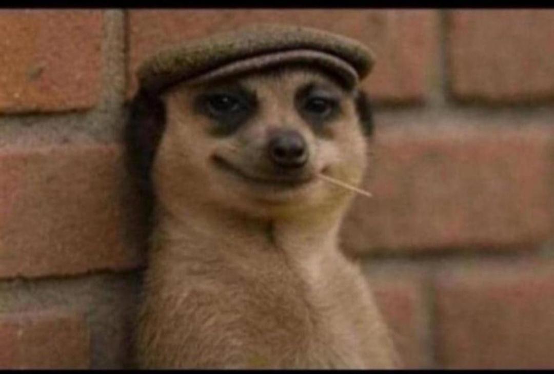 When the best replacement comes your way amid your struggling relationship