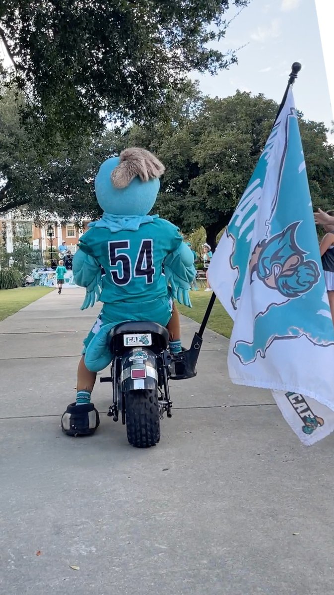 Only 54 days until the first Alumni TEALgate of the season on September 6, 2025! Mark your calendars for a day of fun, connections, and all things teal👌