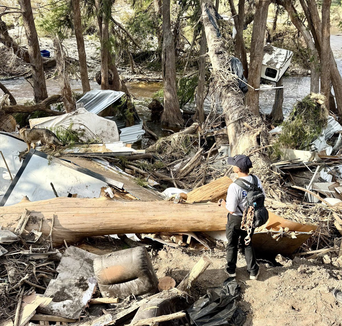 henrymcmaster's tweet image. South Carolina Task Force 1 has been on the ground in Texas providing critical support in response to last week’s catastrophic flooding.
Our prayers remain with the people of Texas.