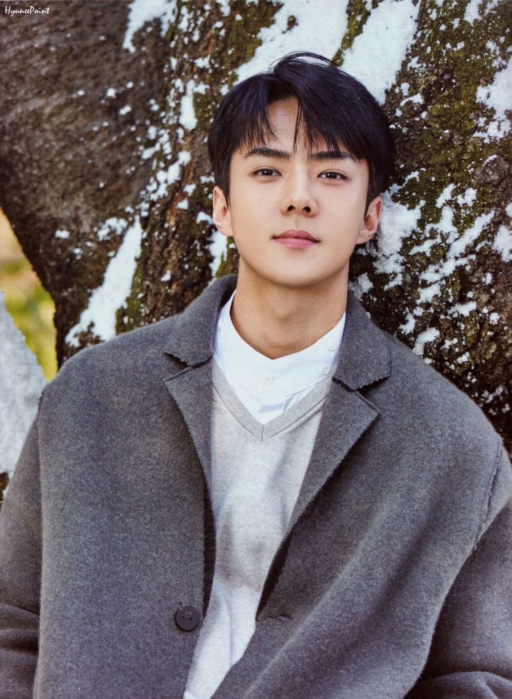 EXO SEHUN will return from military service in 70 days! (<a href="/weareoneEXO/">EXO</a>)