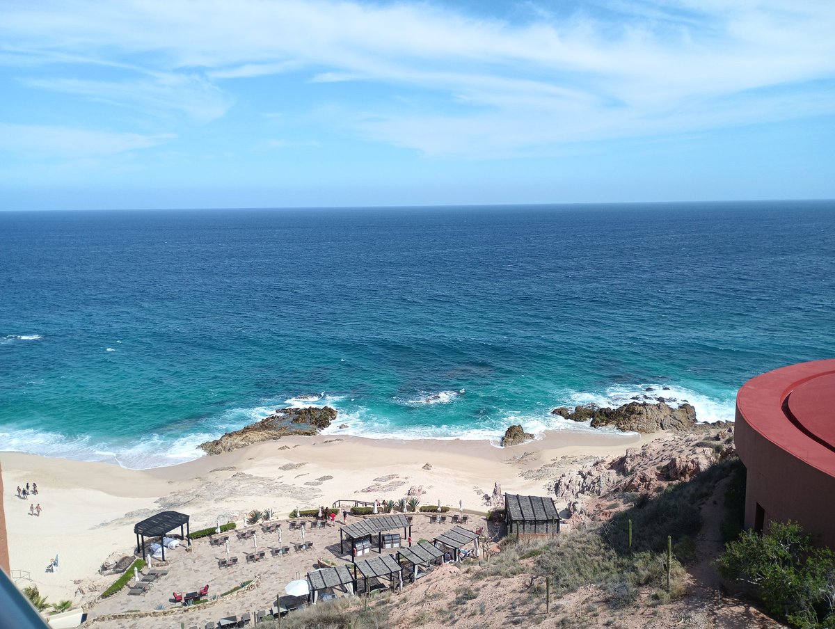 austinstoirin's tweet image. 