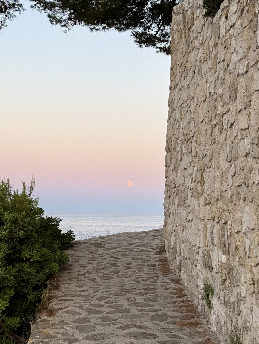 jaylenecook__'s tweet image. 4 things today that made me smile ☺️

💦 cold water swim 
🌸 overgrown plants 
❤️ old people in love
🌅 full moon sunset