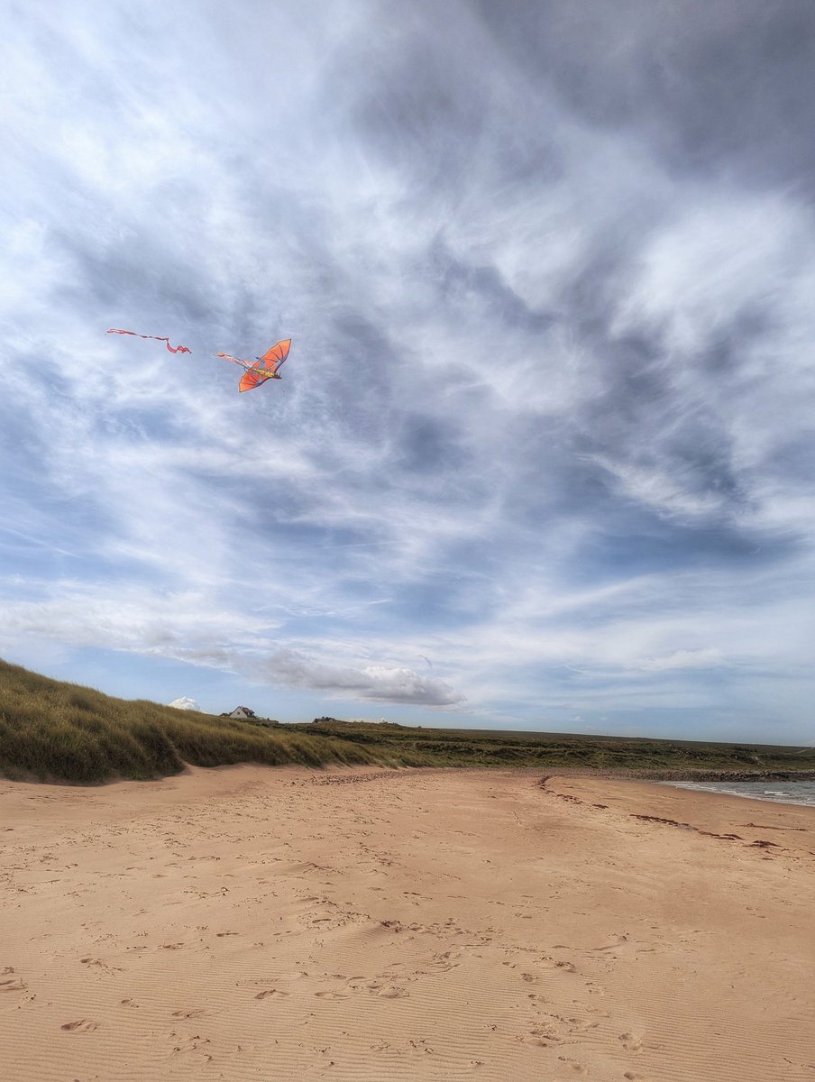 RedRiverCroft's tweet image. Kite-flying with the grandchildren.
#FridayFeeling #FridayFun