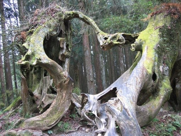 to love life, to love it even when you have no stomach for it