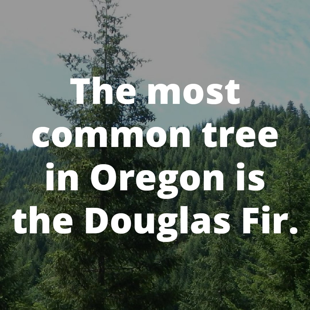 RMLSweb's tweet image. #FridayFunFact