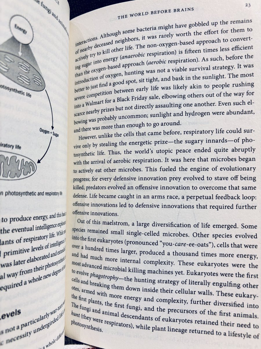 Fact-finding Friday!