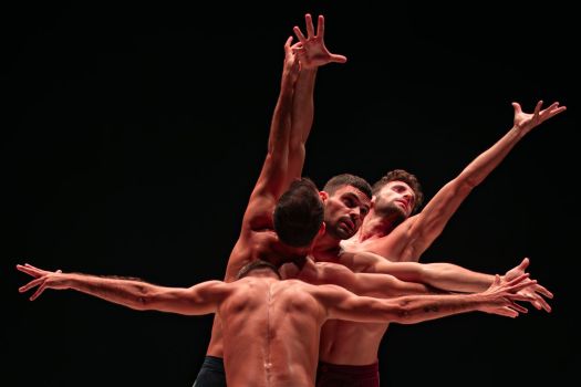 Sarà il Gala Les Étoiles pour homme a chiudere il Ravenna Festival il 13 luglio al Palazzo Mauro De André (ore 21,30).   Direzione artistica di Daniele Cipriani . Talenti maschili.ballareviaggiando.it/2-uncategorise…