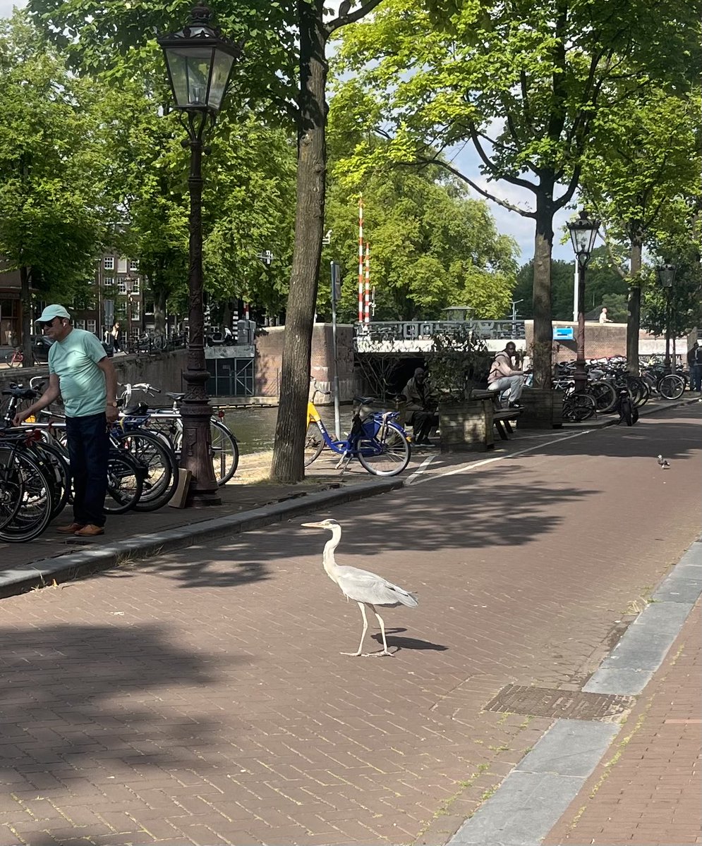 Jane Fallon tweet media