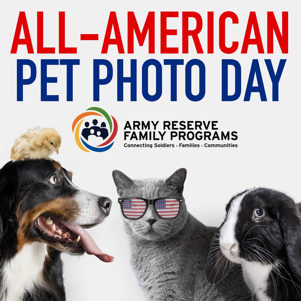 FamilyPrograms's tweet image. #AllAmericanPetPhotoDay! 📸 🐶🐱🦜🦎
Today’s a perfect day to show off your adorable pets and personalities that make them so special. Drop a photo in the comments below and tell us a little something that makes them amazing!