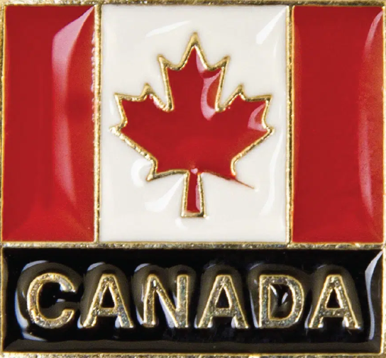 flagshopcanada's tweet image. Canada Day may be over, but showing your pride never goes out of style. Shop our collection of high-quality Canadian flags, patches, lapel pins, and more.

#MapleLeafStrong #CanadianSpirit #FlagDisplay