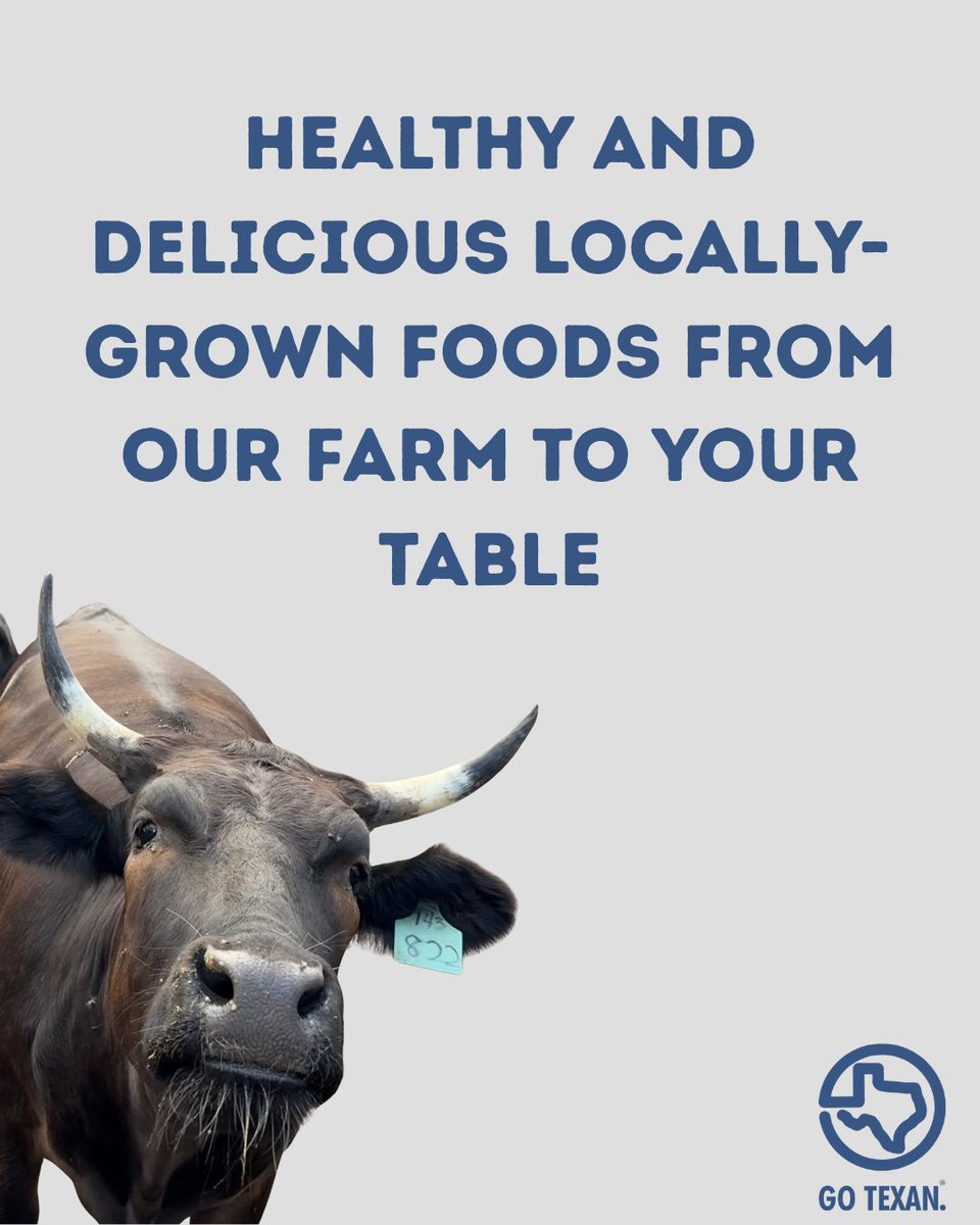 GOTEXAN's tweet image. Commissioner Sid Miller wants you to know that great meals start with great ingredients. Weise Farms gives you premium Wagyu straight from the source — no shortcuts, no mystery.
#GOTEXAN #TexasEats #SupportTexas #FarmToFork #EatLocalTX #TexasGrown #LocalPride