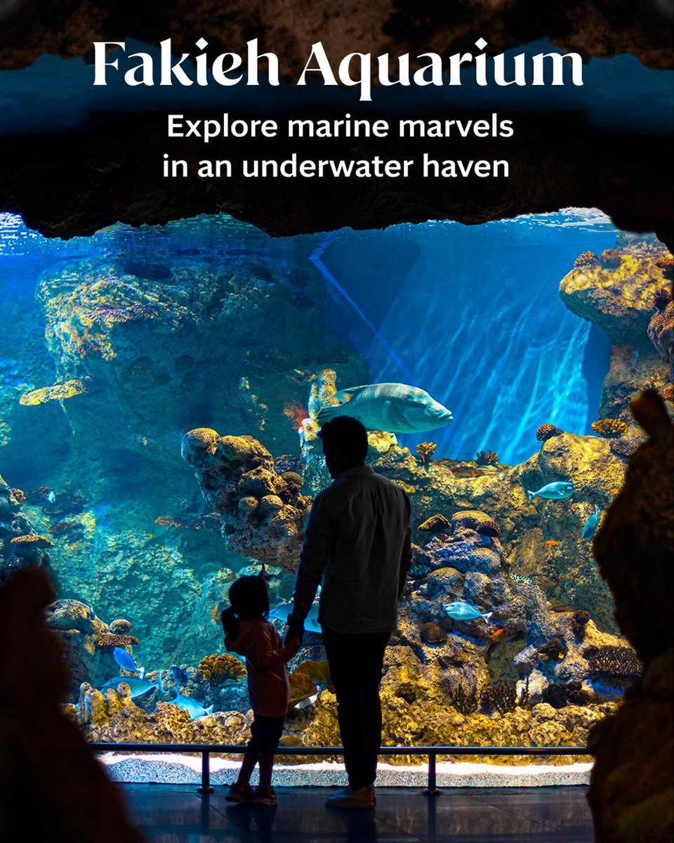 VisitSaudi's tweet photo. Ready for over 200 fascinating species? 🐠🦈​
Discover marine creatures from the Saudi Red Sea and beyond in a captivating experience designed for all ages at Fakieh Aquarium.​
​
📍#Jeddah​
​
Plan your visit: https://t.co/XxeGFOj5xk​
​
#VisitSaudi #ColorYourSummer https://t.co/Ldssxtk39d