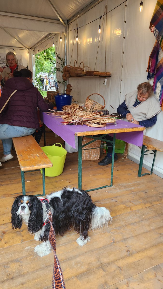 USEmbassyRiga's tweet image. 🎶🧺 Truffle the diplo-dog soaked up every moment of the Youth Song and Dance Festival—from crafts to folk dancing, all from a front-row seat.
These celebrations reflect Latvia’s rich identity and the cultural ties that connect us. 🇱🇻🇺🇸🐾 #NācGavilēt #TruffleTravels