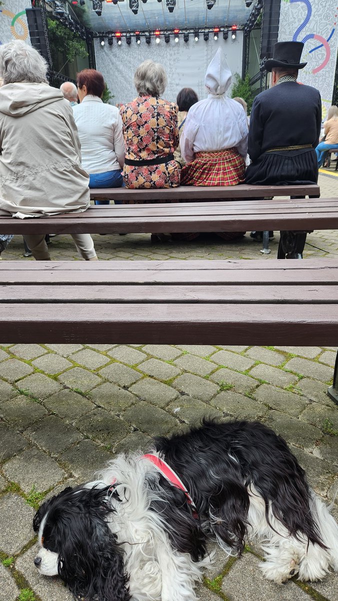 USEmbassyRiga's tweet image. 🎶🧺 Truffle the diplo-dog soaked up every moment of the Youth Song and Dance Festival—from crafts to folk dancing, all from a front-row seat.
These celebrations reflect Latvia’s rich identity and the cultural ties that connect us. 🇱🇻🇺🇸🐾 #NācGavilēt #TruffleTravels