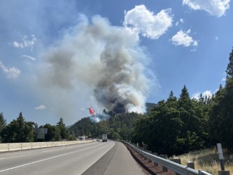 ORDeptForestry's tweet image. As of July 10, there have been 400 fires on ODF protection that have burned about 2,000 acres, and ODF responded to 551 calls for assistance from our partners.
For wildfire prevention tips, visit keeporegongreen.org