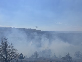 ORDeptForestry's tweet image. As of July 10, there have been 400 fires on ODF protection that have burned about 2,000 acres, and ODF responded to 551 calls for assistance from our partners.
For wildfire prevention tips, visit keeporegongreen.org