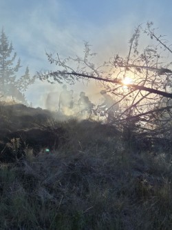 ORDeptForestry's tweet image. As of July 10, there have been 400 fires on ODF protection that have burned about 2,000 acres, and ODF responded to 551 calls for assistance from our partners.
For wildfire prevention tips, visit keeporegongreen.org