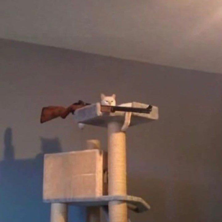 Hi I’m livee!

Twitch.tv/IMAngelikaa