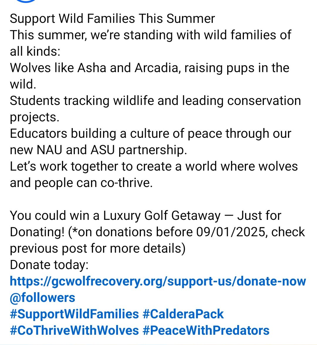Support Wild Families This Summer
This summer, we’re standing with wild families of all kinds:
Wolves like Asha and Arcadia, raising pups in the wild.

Donate today: gcwolfrecovery.org/support-us/don…
#SupportWildFamilies #CalderaPack #CoThriveWithWolves #PeaceWithPredators