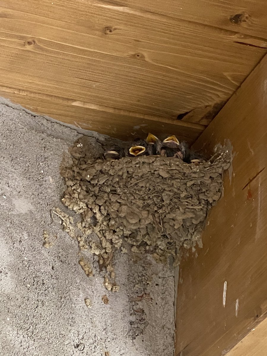 Cada día más lindas y más despabiladas… ❤️