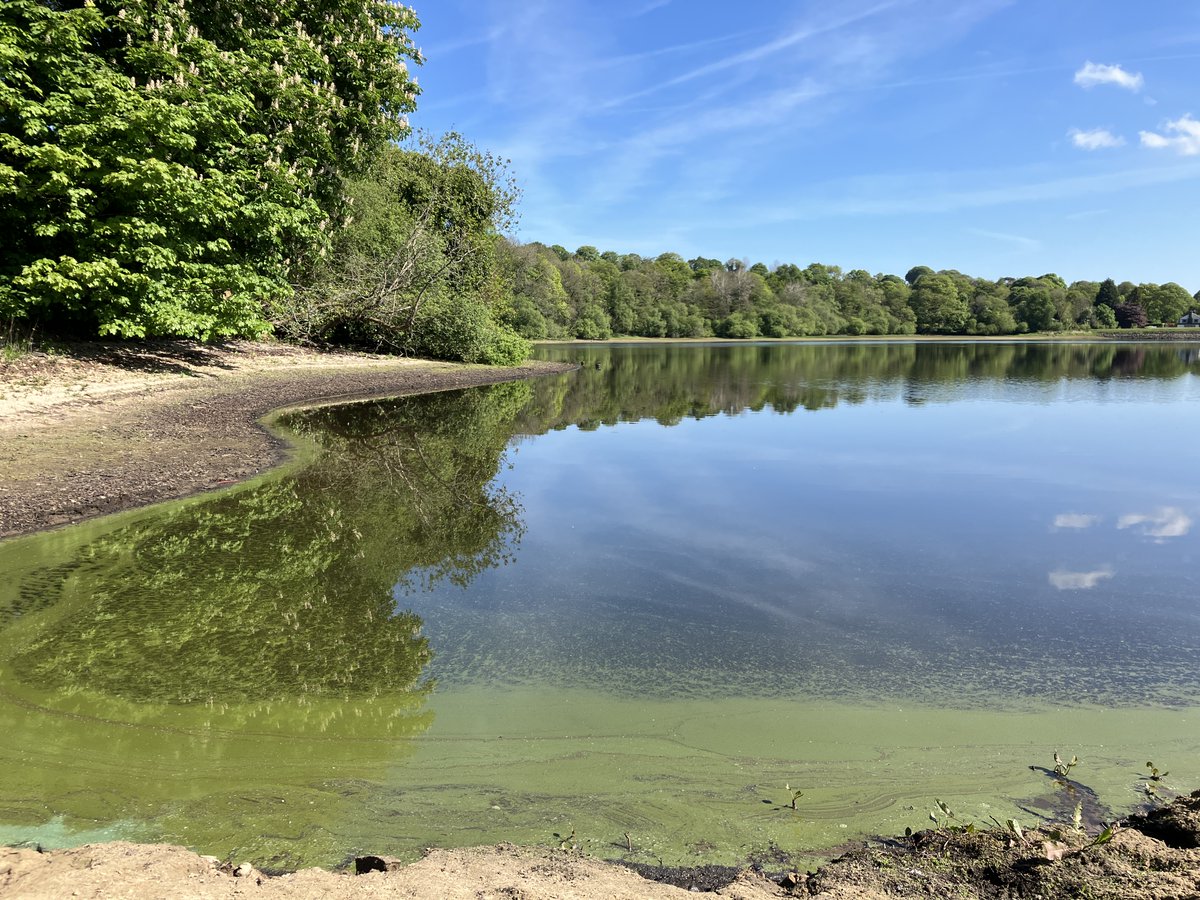 We have confirmed the presence of blue-green algae in Lake #Windermere at sites including Waterhead and Low Wray Bay. 

Our officers have taken samples and advised landowners. We encourage water users to check for signs of blue-green algae before entering the water.