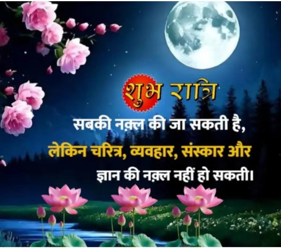 शुभ रात्रि मित्र ✨🌙💐